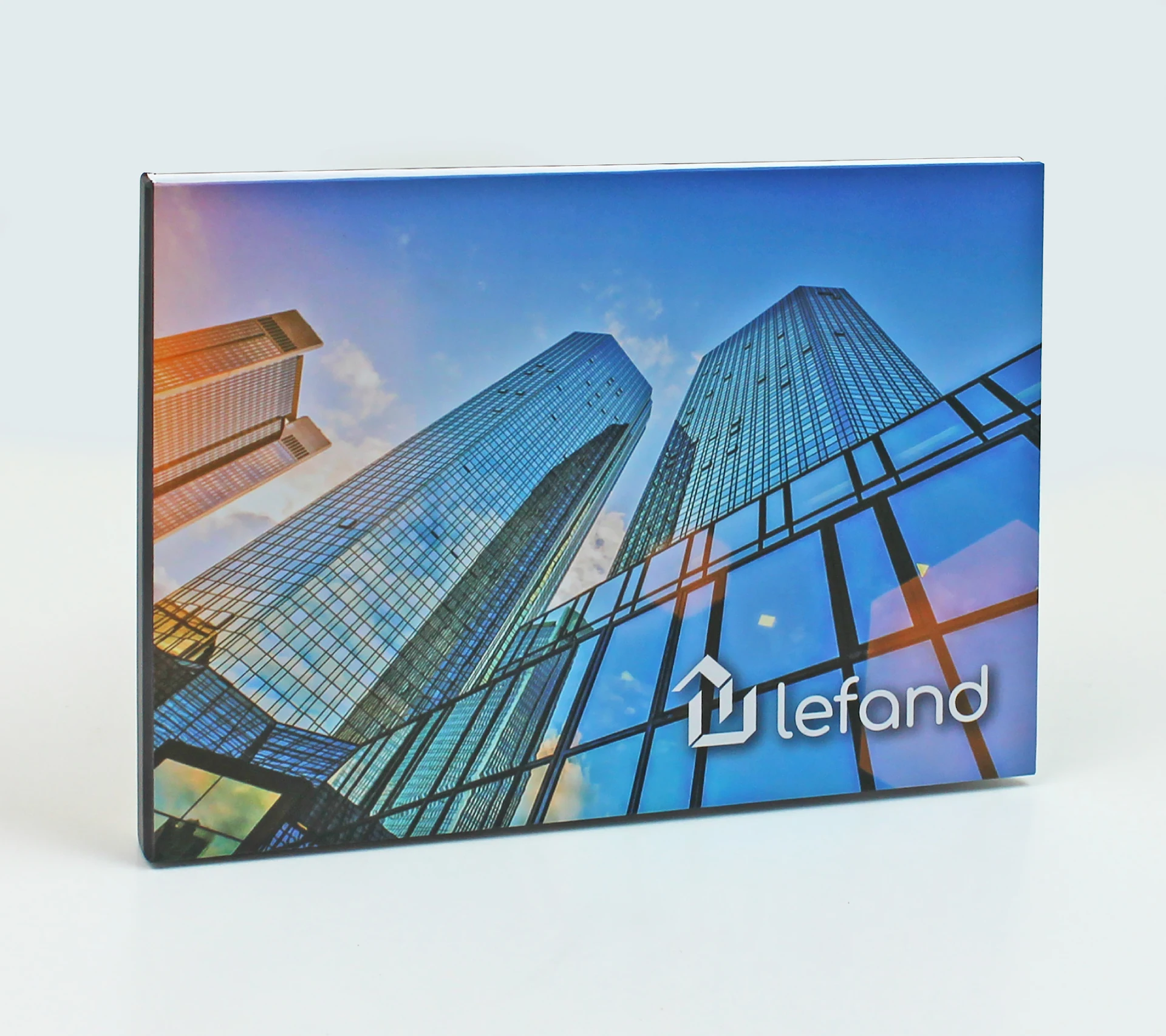 Lefand-Video-Brochure